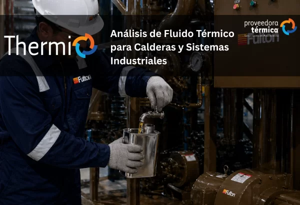 Análisis de Fluido Térmico Thermi para Calderas y Sistemas Industriales